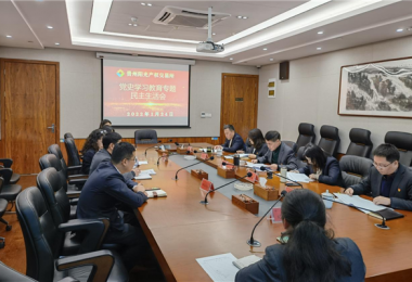 貴州陽光產(chǎn)權(quán)黨委召開黨史學習教育專題民主生活會