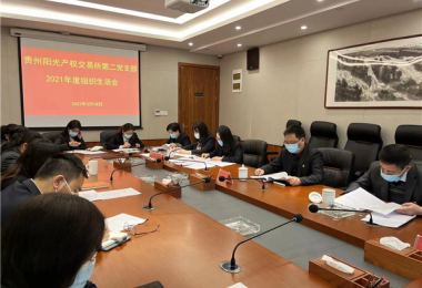 貴州陽光產權黨委班子督導黨支部組織生活會