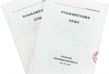貴州環(huán)交所成為畢節(jié)市林業(yè)碳票交易平臺