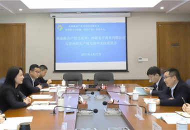 經(jīng)驗交流  共促發(fā)展——西南聯(lián)合產(chǎn)權(quán)交易所、西藏電子商務(wù)有限公司 與貴州陽光產(chǎn)權(quán)交易所交流座談