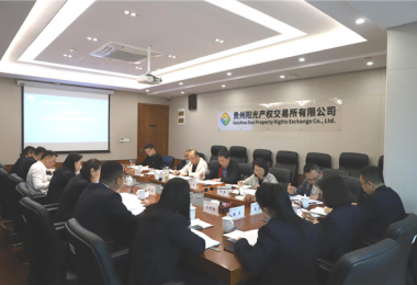 貴州省地方金融監(jiān)管局、貴州證監(jiān)局、貴陽(yáng)市金融辦到貴州陽(yáng)光產(chǎn)權(quán)交易所、貴州環(huán)交所開(kāi)展權(quán)益類(lèi)交易場(chǎng)所調(diào)研