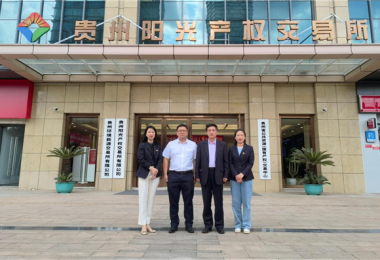 深入交流  共商發(fā)展——廣西北部灣產(chǎn)權(quán)交易所集團(tuán)股份有限公司與貴州陽光產(chǎn)權(quán)交易所開展交流座談