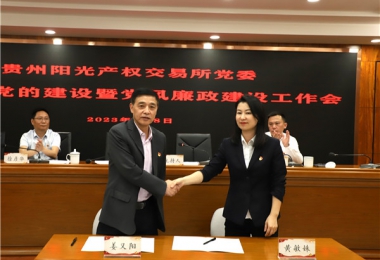 貴州陽(yáng)光產(chǎn)權(quán)交易所黨委召開2023年黨的建設(shè)暨黨風(fēng)廉政建設(shè)工作會(huì)