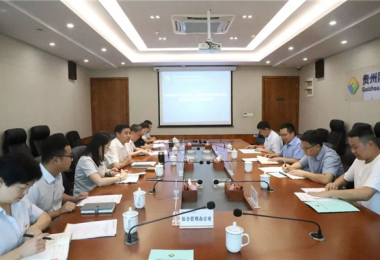 西南聯(lián)合產(chǎn)權(quán)交易所、西藏電子商務(wù)有限公司與貴州陽(yáng)光產(chǎn)權(quán)交易所交流座談會(huì)