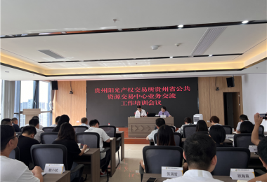 貴州陽(yáng)光產(chǎn)權(quán)交易所有限公司赴貴陽(yáng)市礦產(chǎn)能源投資集團(tuán)有限公司開展業(yè)務(wù)交流培訓(xùn)