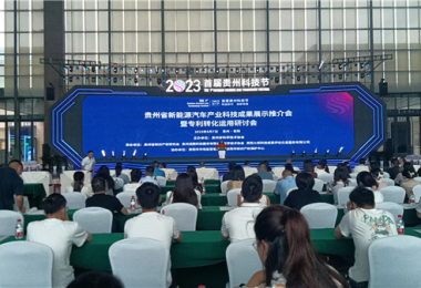 首屆貴州科技節(jié)貴州新能源汽車產(chǎn)業(yè)科技成果展示推介會(huì)舉行