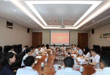 堅(jiān)持自我革命 筑牢發(fā)展基石——貴州陽(yáng)光產(chǎn)權(quán)交易所黨委召開2023年上半年全面從嚴(yán)治黨分析研判會(huì)