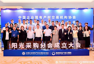 貴州陽光產(chǎn)權交易所參加中國企業(yè)國有產(chǎn)權交易機構協(xié)會陽光采購分會成立大會