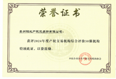 喜訊！貴州陽(yáng)光產(chǎn)權(quán)交易所獲得2024年度全國(guó)產(chǎn)權(quán)交易機(jī)構(gòu)2項(xiàng)30強(qiáng)榮譽(yù)